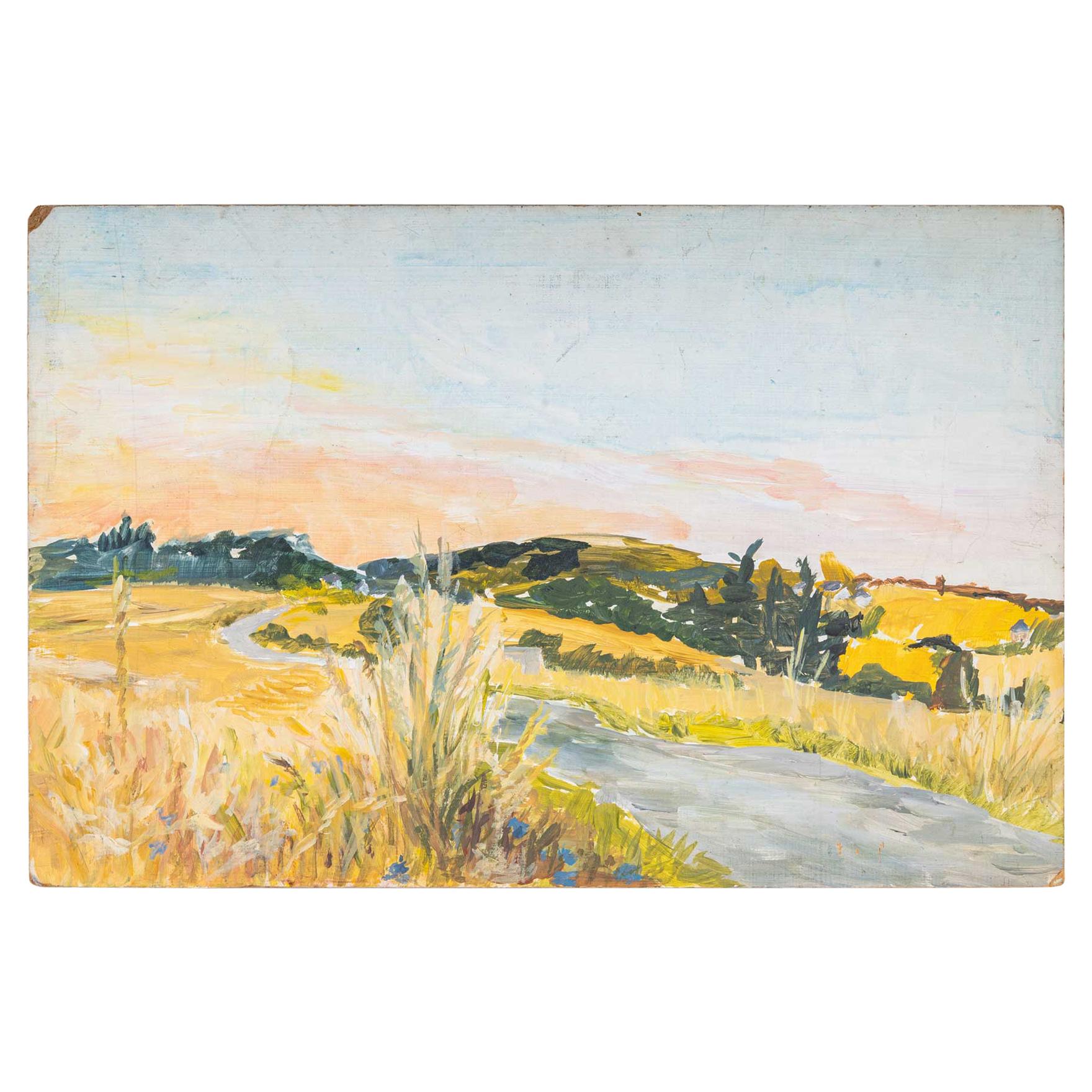 Landscape of a Flowered Road, 20th Century For Sale