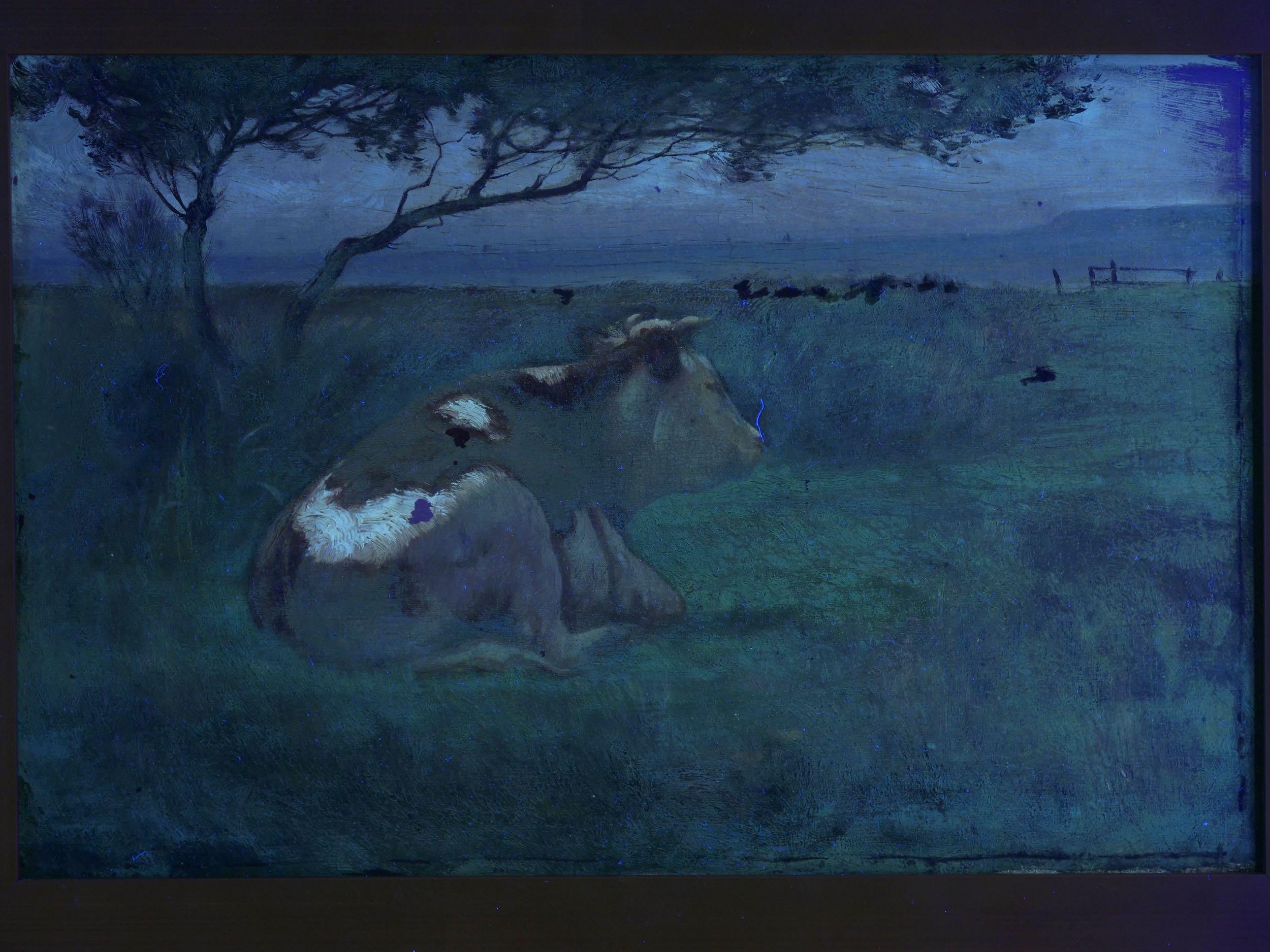 “Landscape of a Resting Bull” Oil Painting by John Carleton Wiggins 9