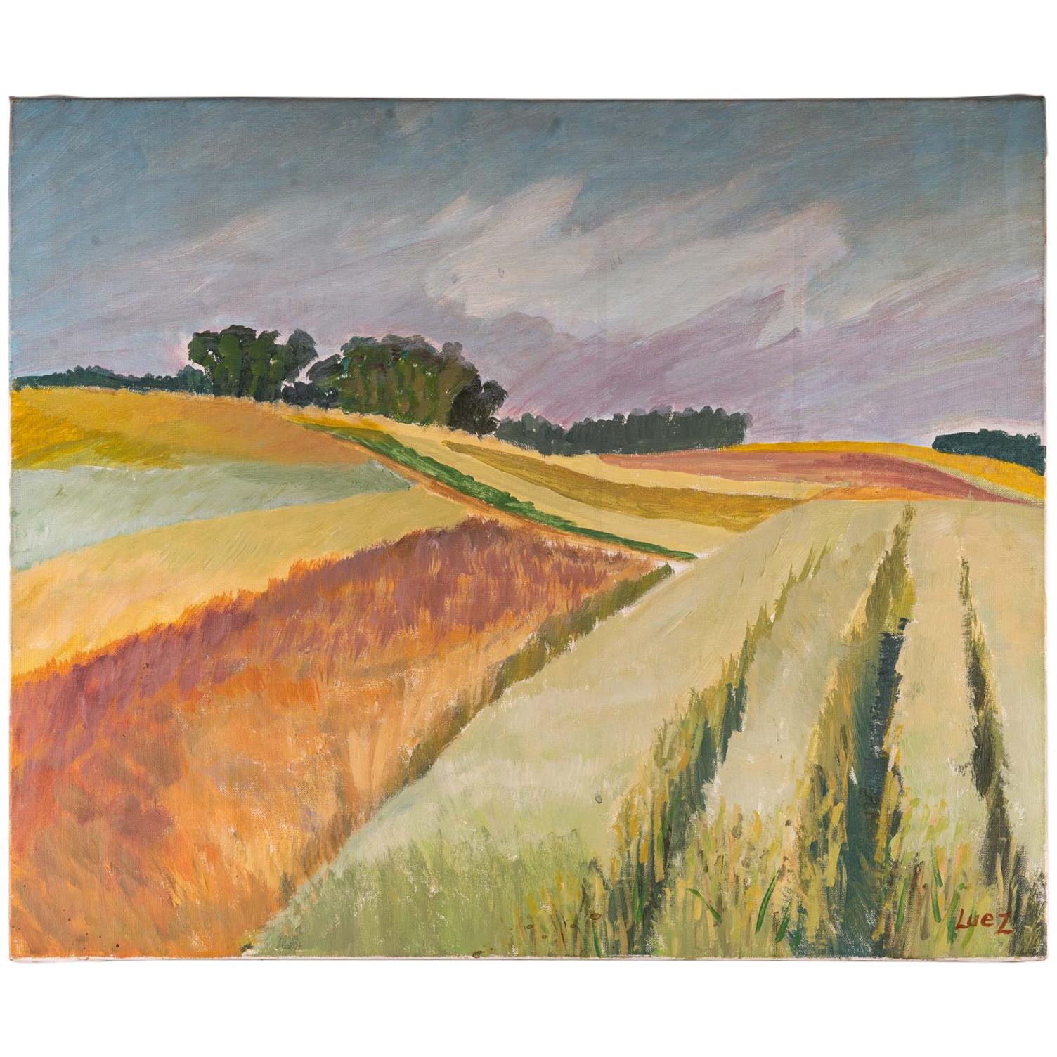 Paysage de champs dans la campagne, 20e siècle