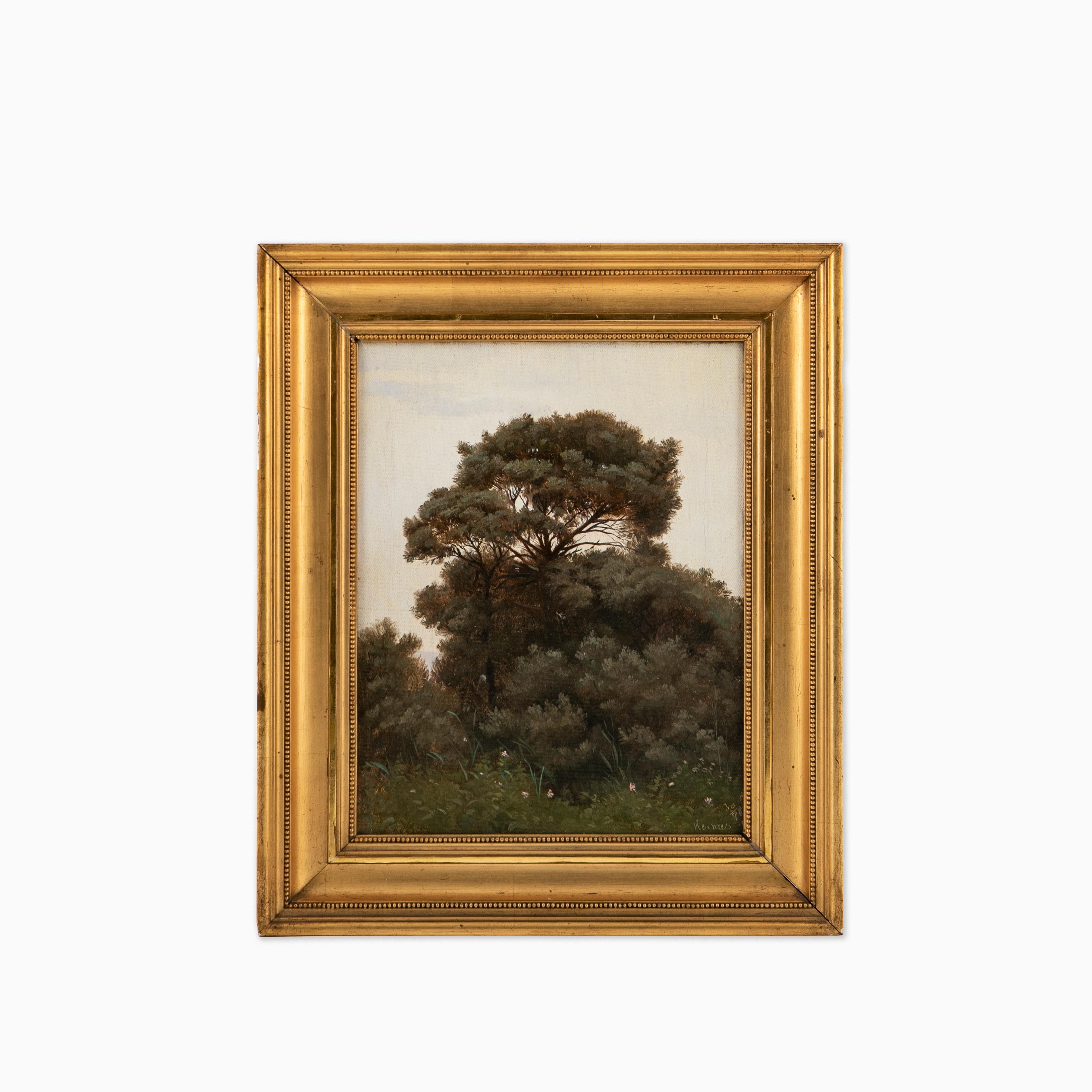 Fritz Thomsen (1819-1891), Danish painter.
Painting of forest scene near the shoreline of Hesnæs, on the Danish island of Falster, 1878.

Oil on canvas, framed.

Art measures : 25 x 19 cm.
Frame measures: 34 x 28,5 x 4,5 cm.