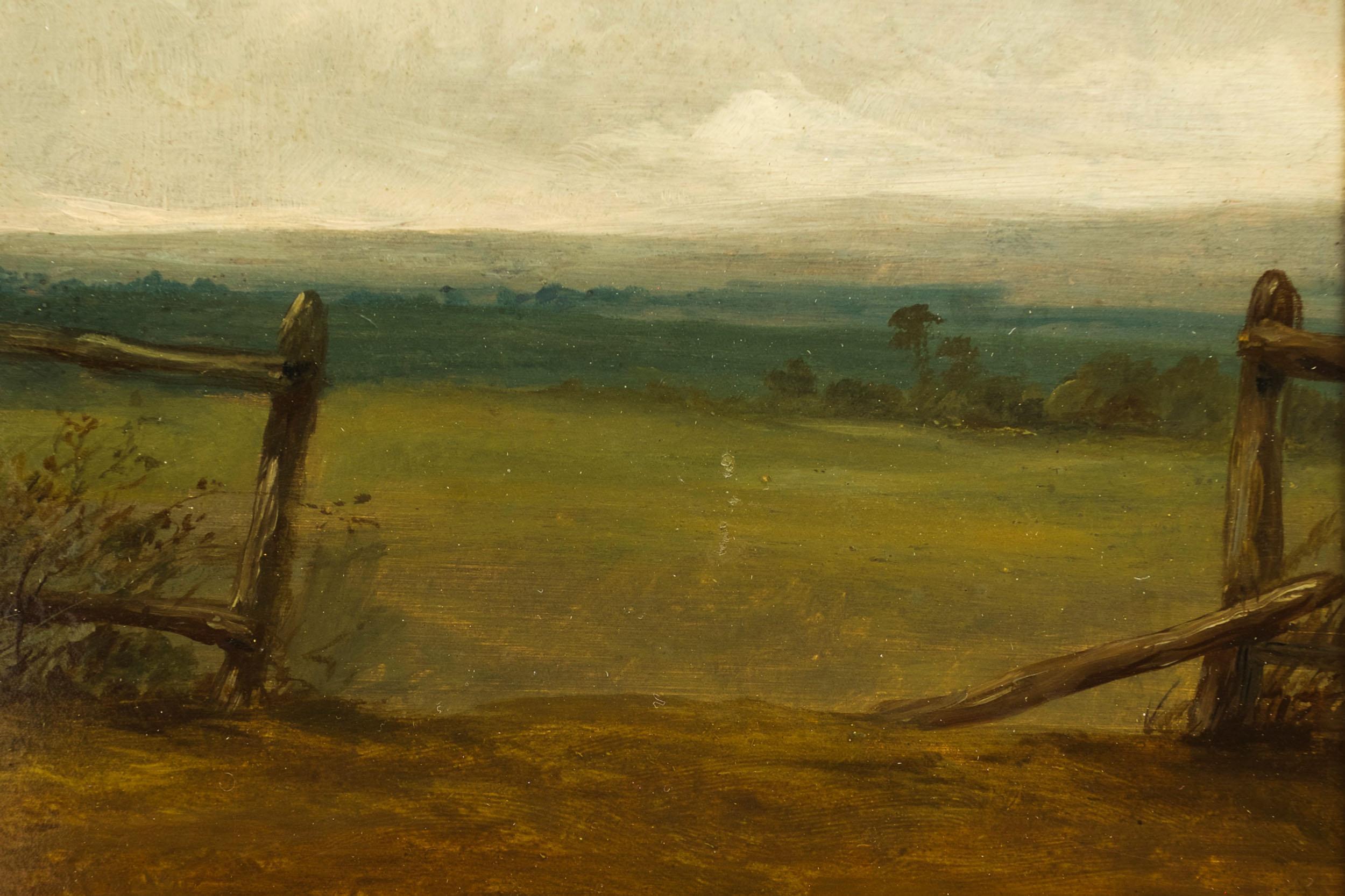 Landscape Painting of Black Stallion 