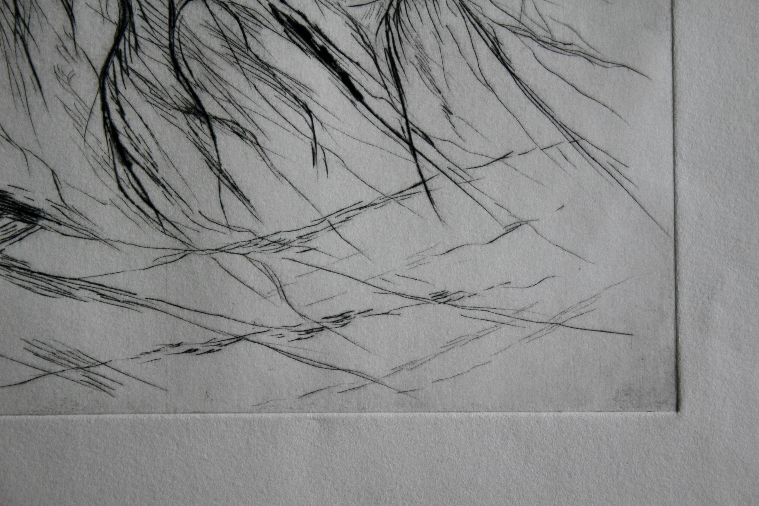 Landschaft