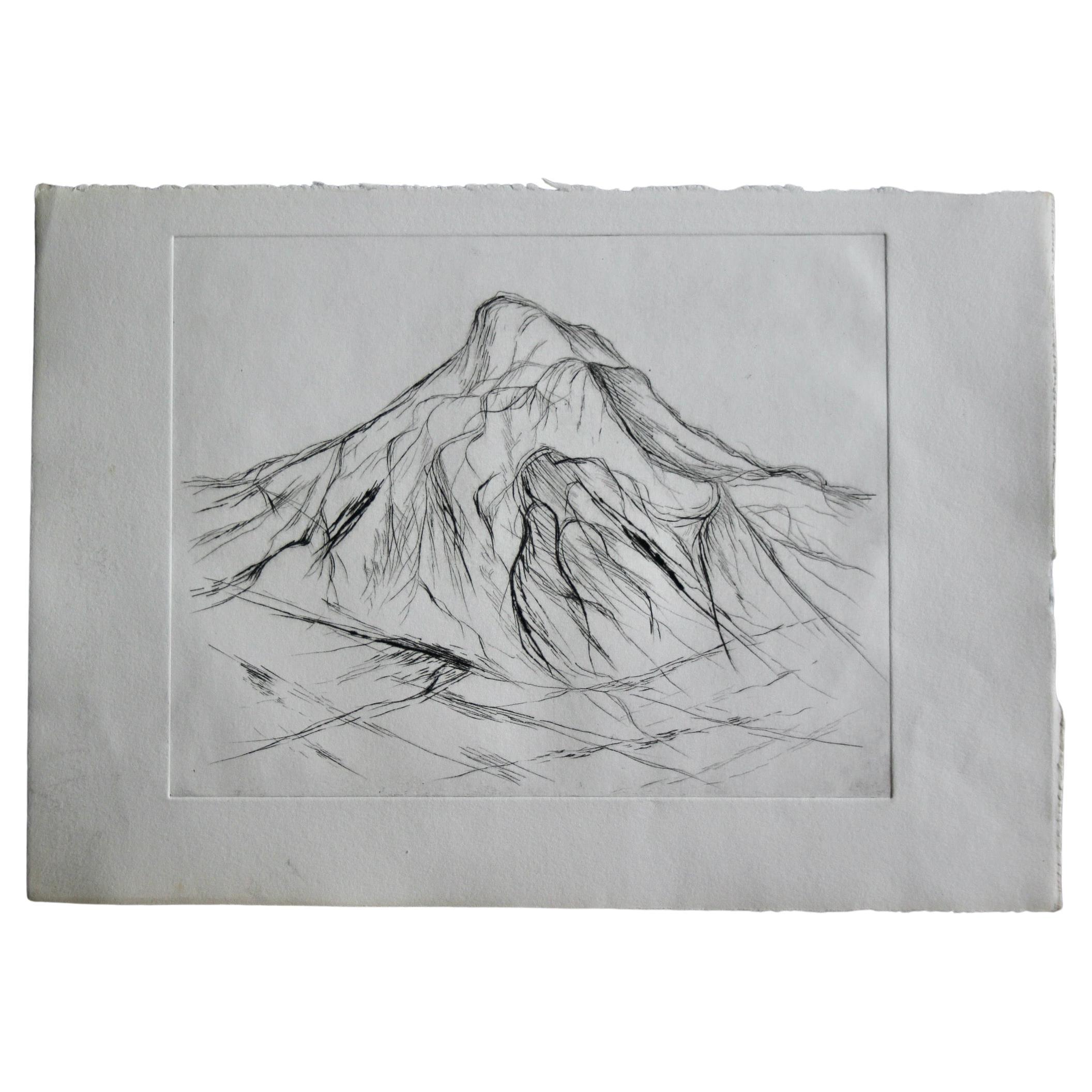 Landschaft", signierte Lithographie von Jacques Deperthes im Angebot
