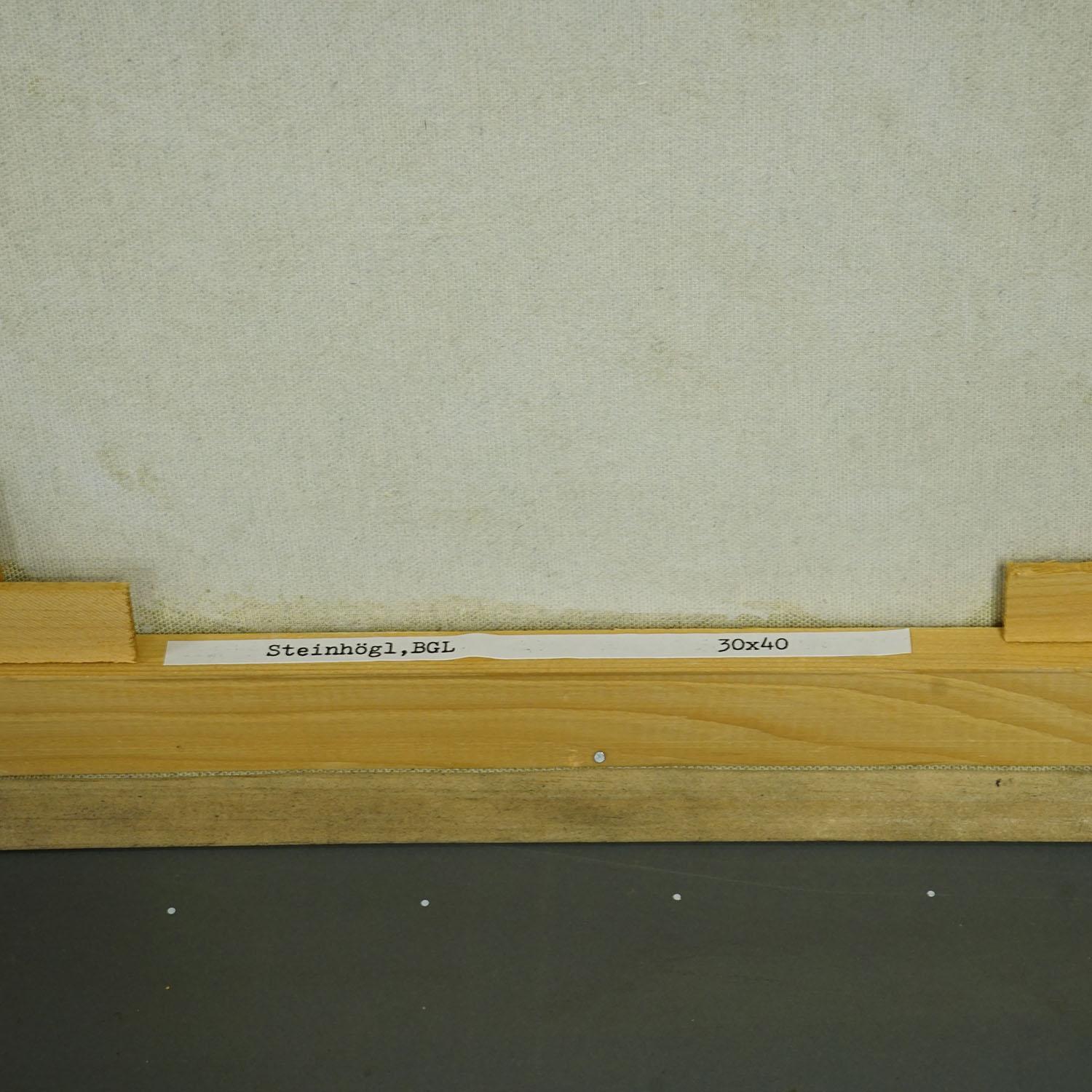 Landschaft Steinhögl Bayern, 1989 - Ölgemälde von Alexander Michael (Leinwand) im Angebot