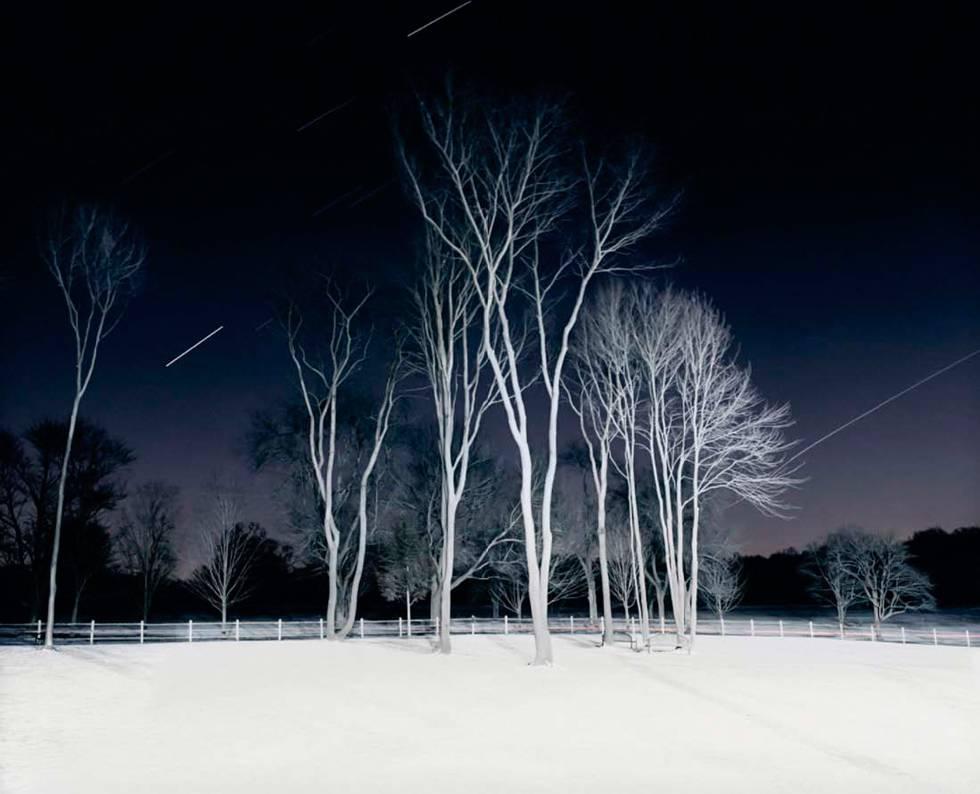 Landscape Photograph di Lane Coder - Senza titolo