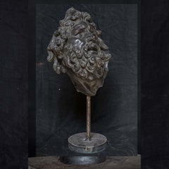 Maschera di Laocoonte