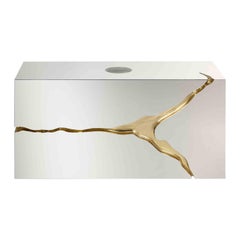 Lapiaz Suspension Cabinet with Polished Brass Tears