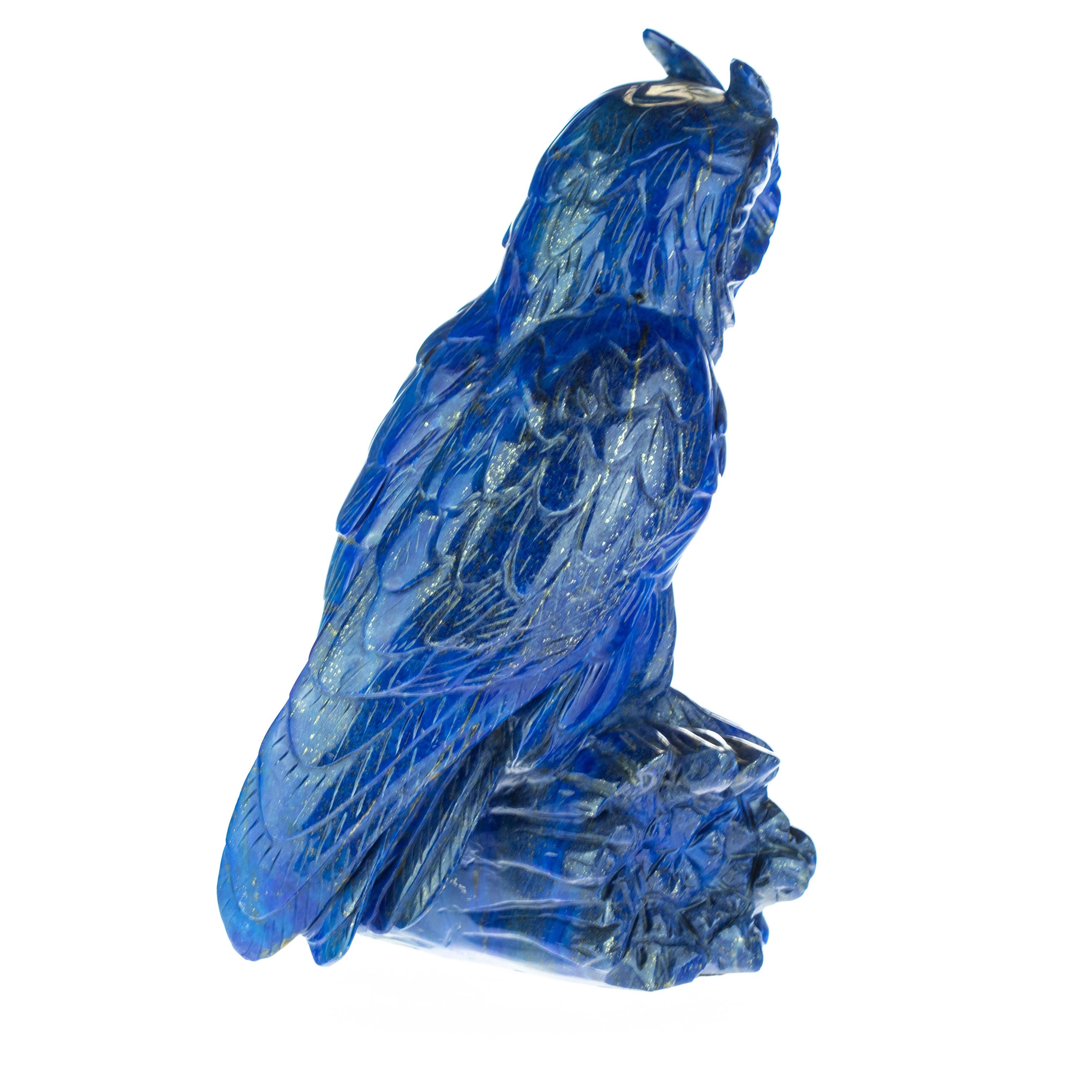 blue owl animal