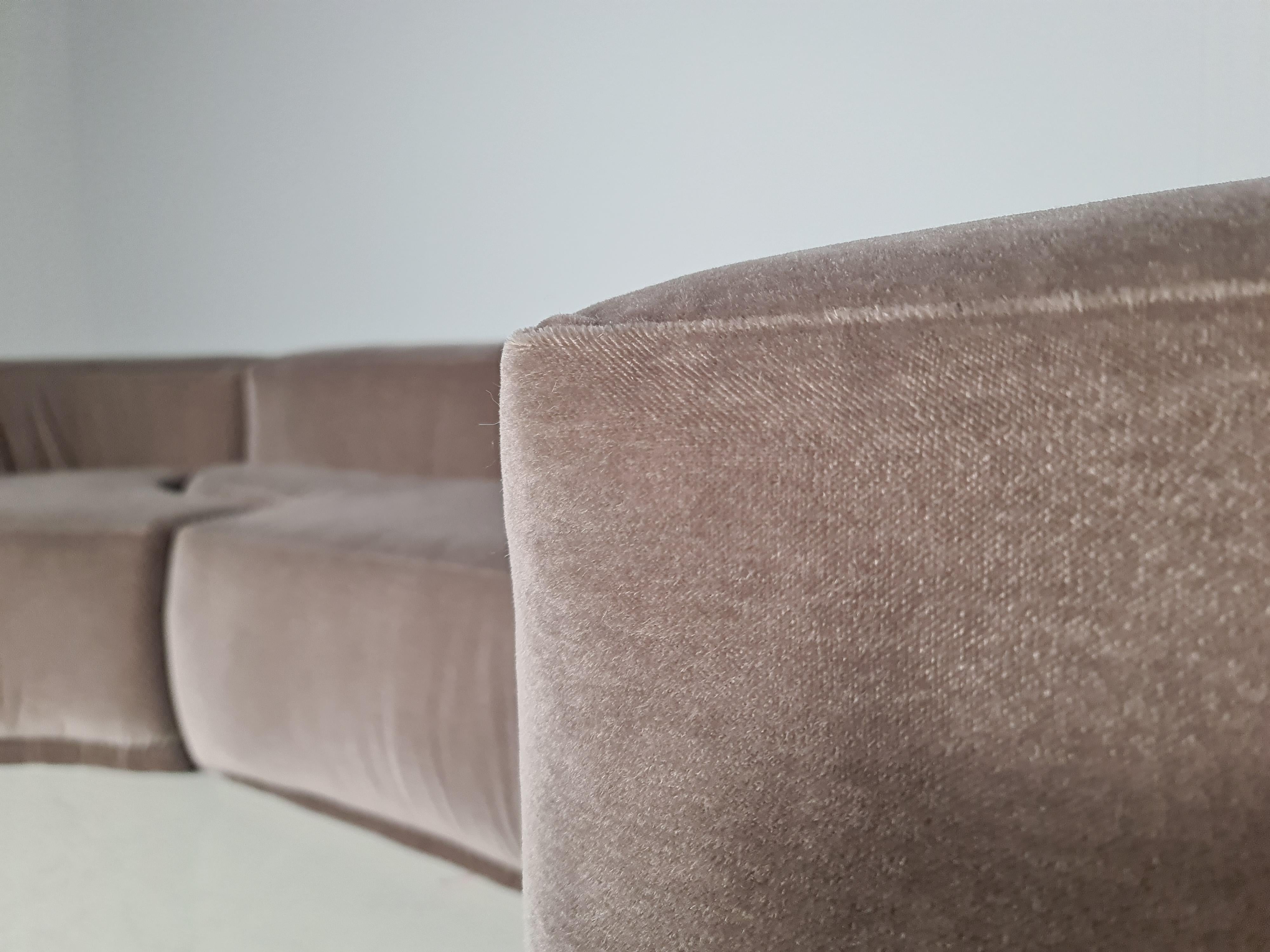 Mid-20th Century Lara Sofa by Pamio, Toso and Massari for Stilwood, Italy, 1960s
