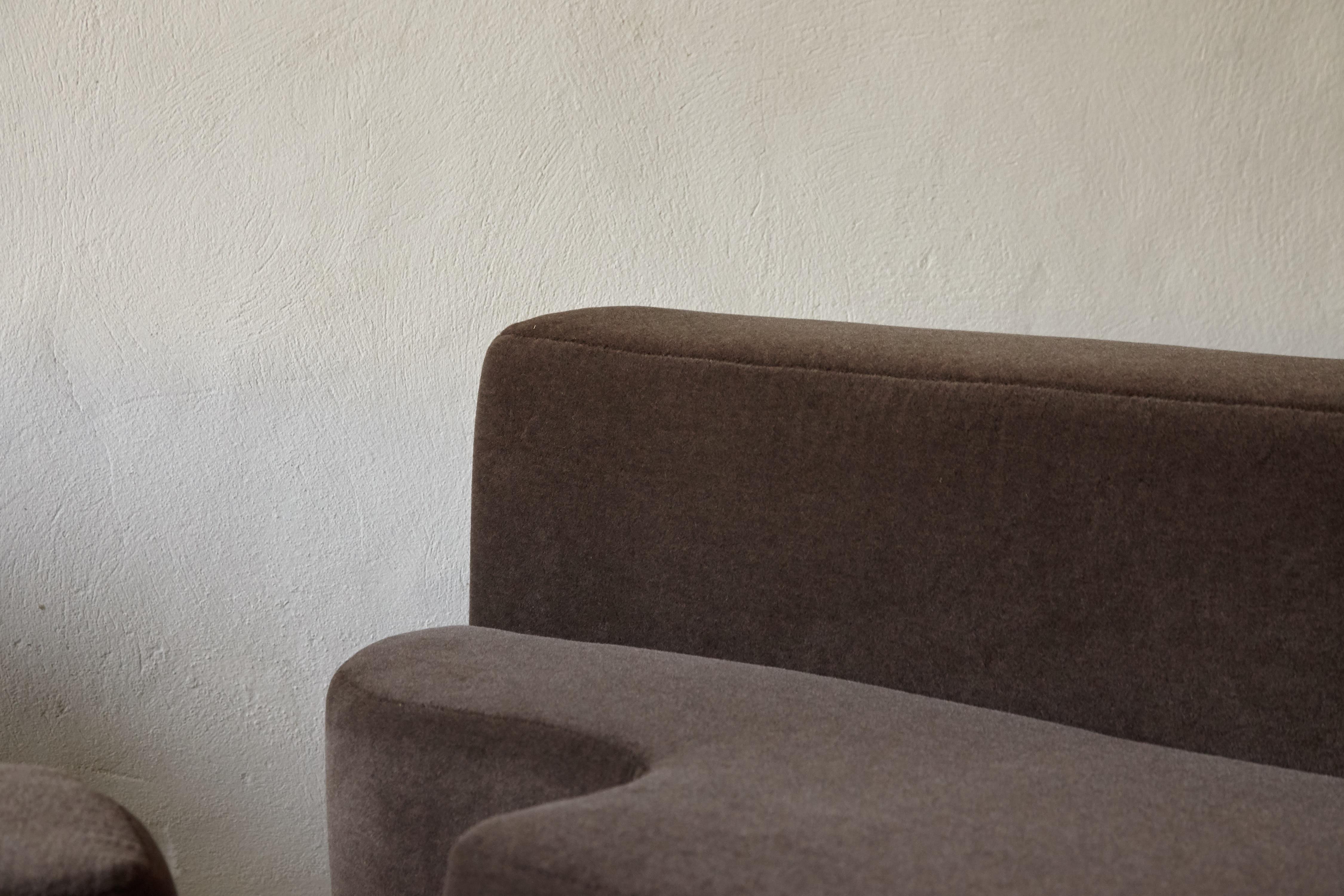 Mohair Lara Sofa by Pamio, Toso and Massari, New Alpaca Upholstery, Italy, 1960s