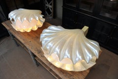 Larg Seashell Lamp, Attributed to Liane Rougier in Nacre Mithacrylate