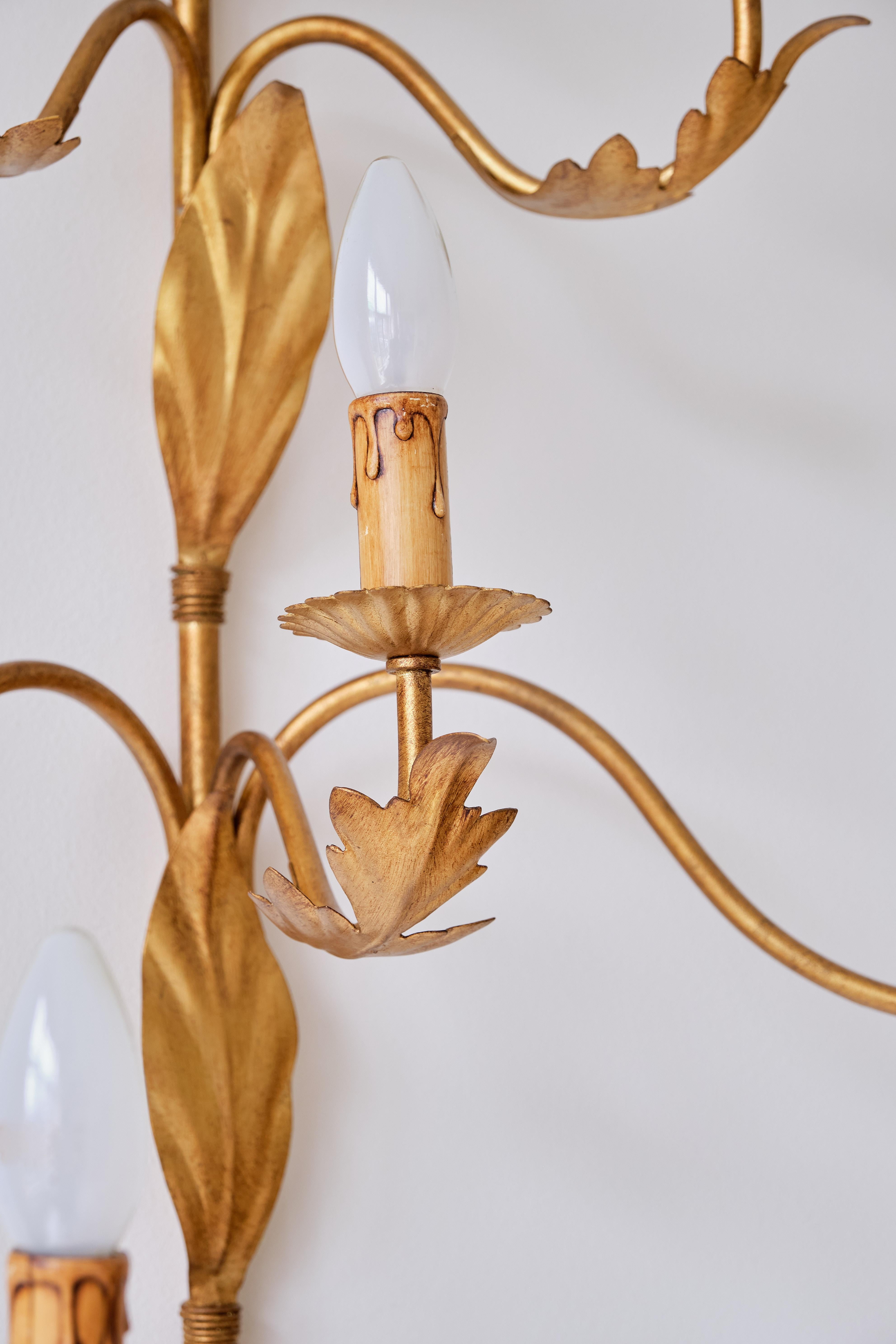 Large 10 Arm Gilded Wall Light by Banci Firenze, Italy, 1960s For Sale 4