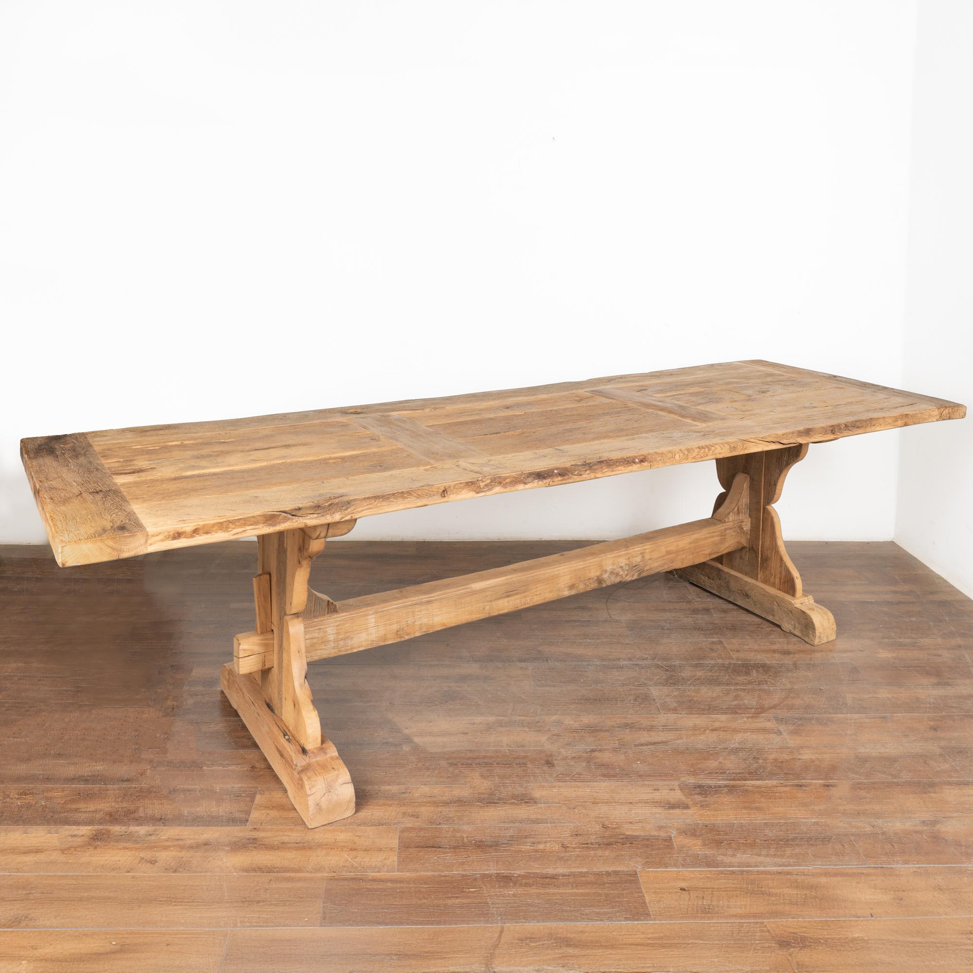 This dramatic bleached oak dining table from France with impressive trestle base is just over 11' long.
Enlarge photos to appreciate the pattern in the aged oak of the top, as well as the old cracks, knarls, and even dried worm holes that add to its