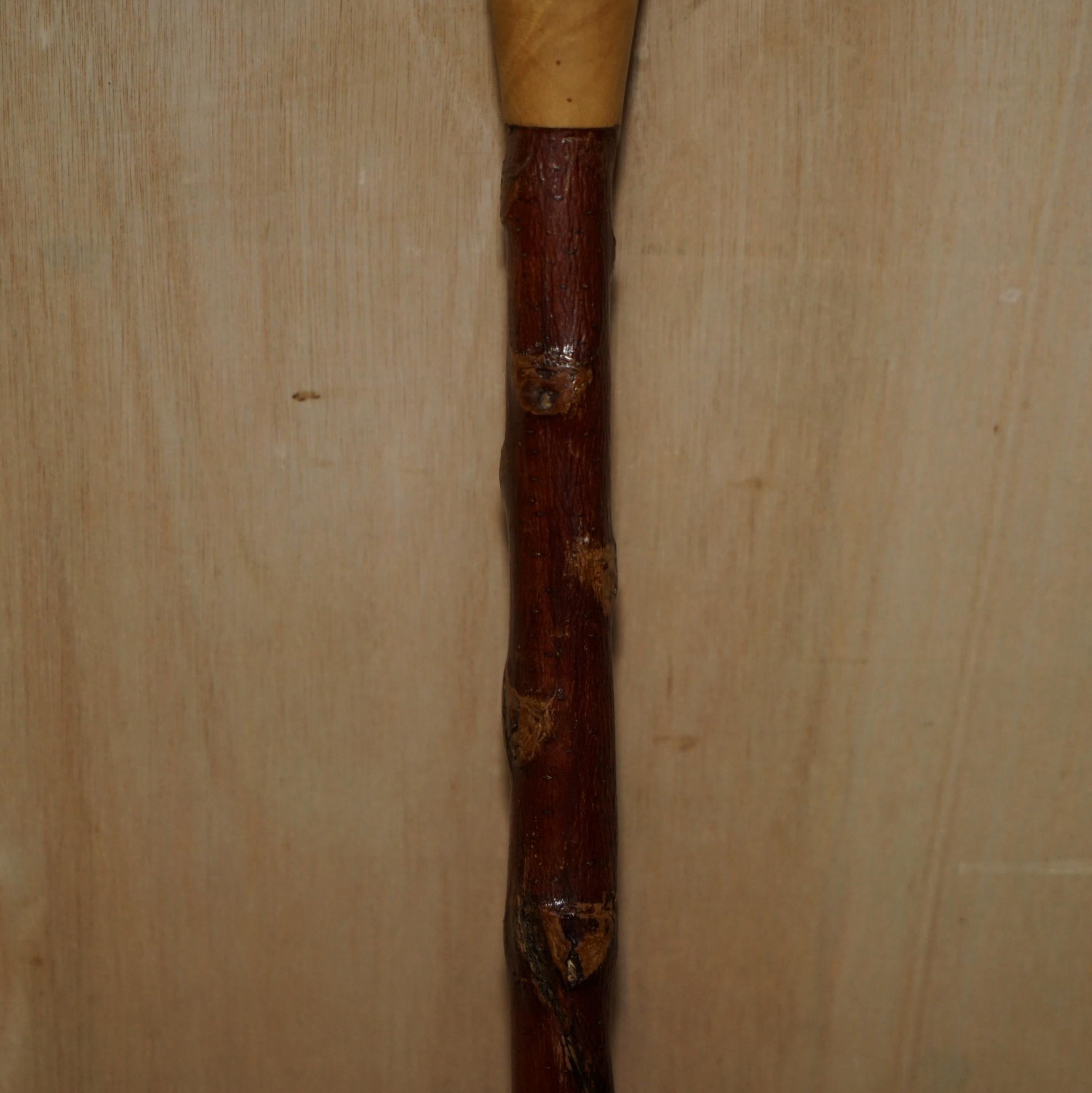 Large Shepherds Walking Stick with Two Spaniel Dogs Heads For Sale 6