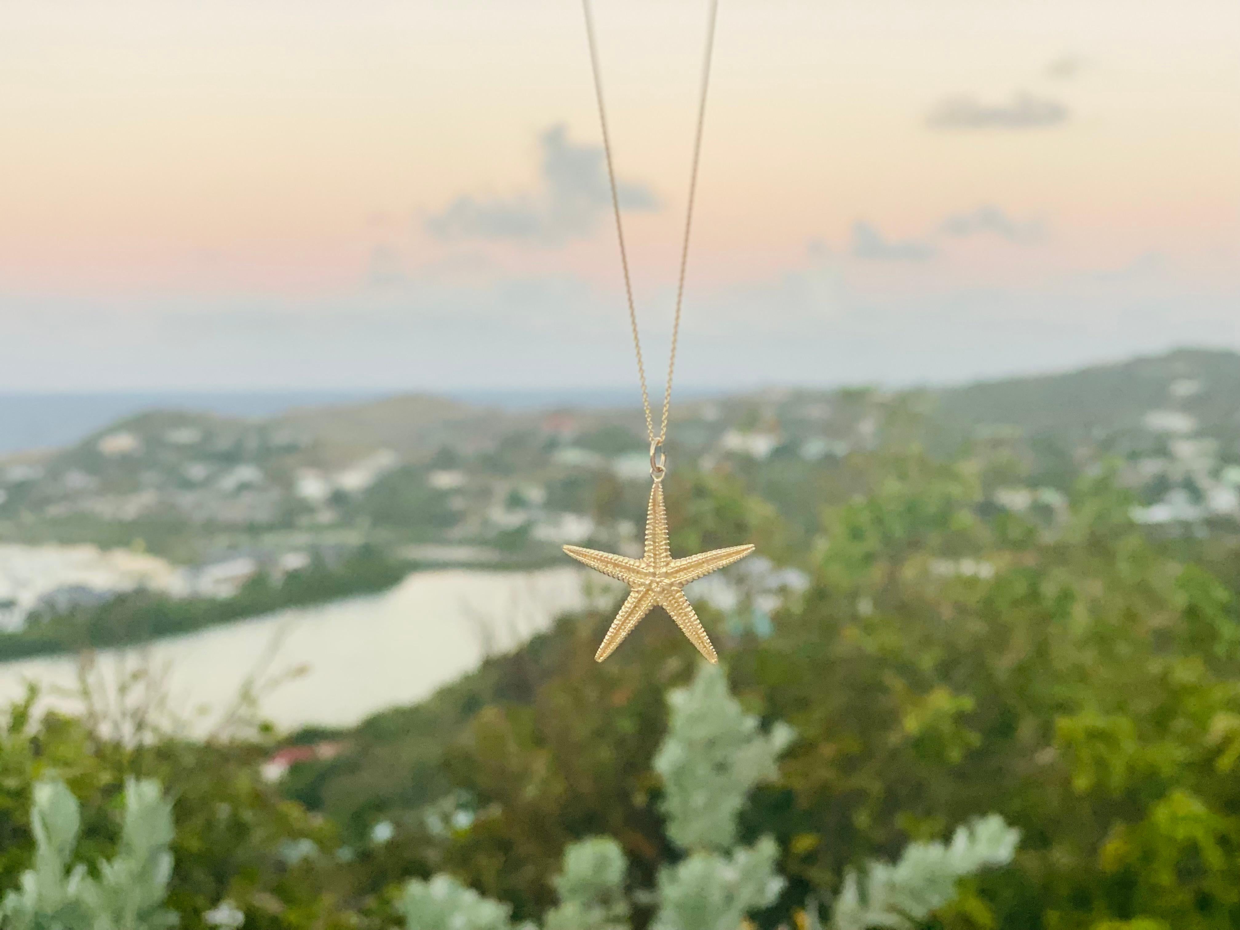 Grand (19mm) Sea Star Gold Charm coulé d'après nature en or jaune 14kt.  Chaîne en or 14kt incluse.  