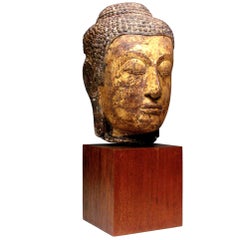 Large 14th-15th Century Thai Sandstone and Gold Leaf Buddha Head