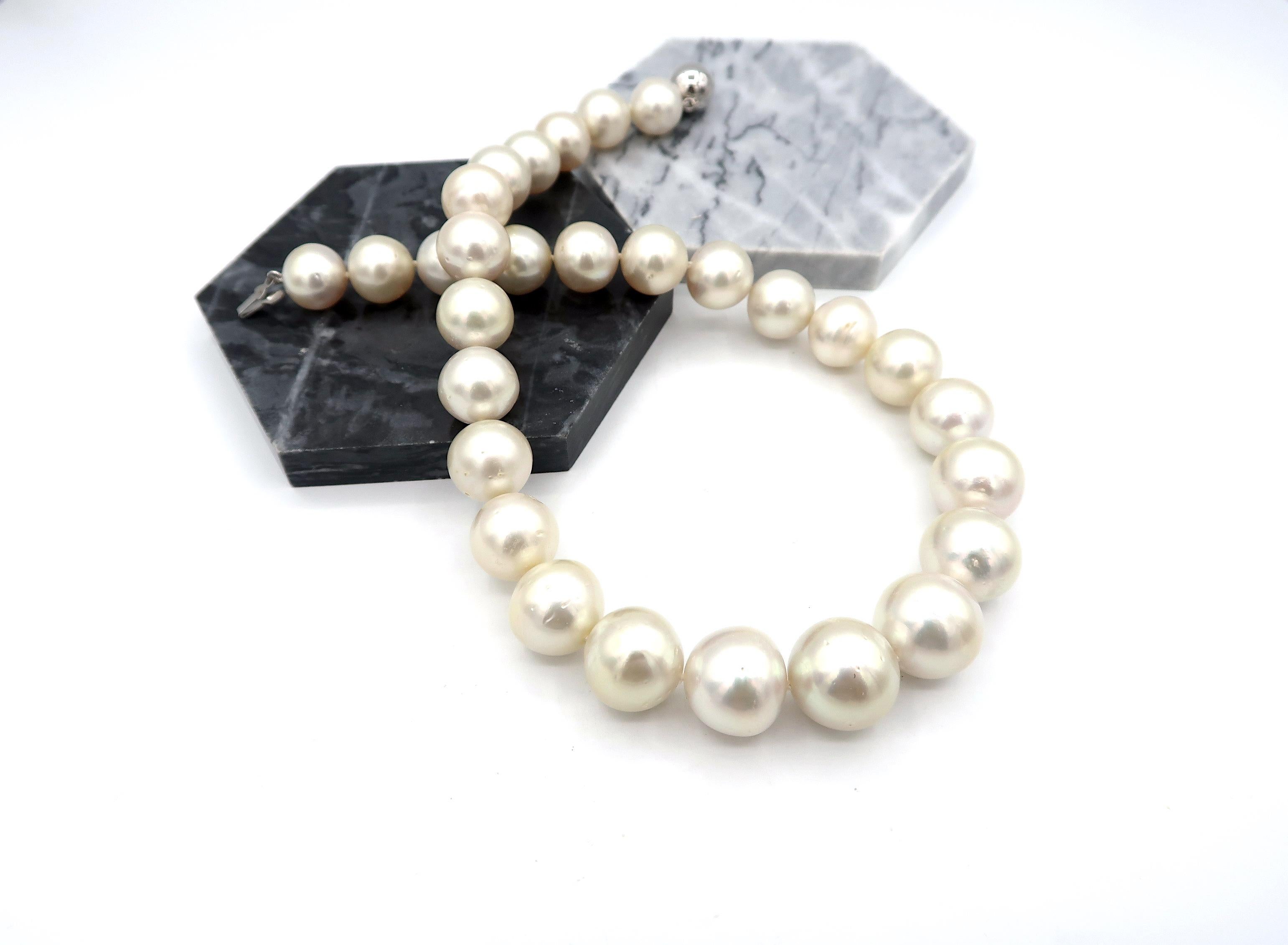 17.5 Inch Long 16.8-13.1mm Cream South Sea Pearl Necklace with Silver Ball Clasp