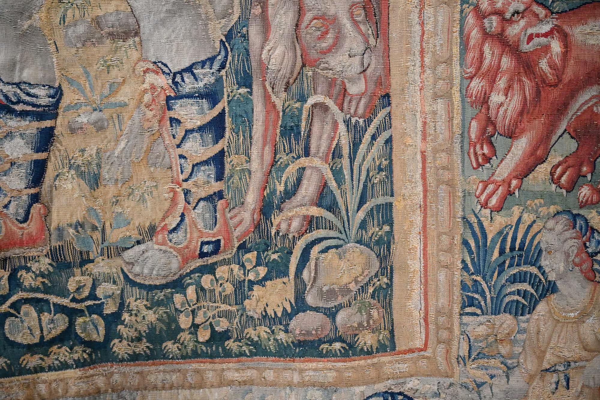 Grande arazzo fiammingo del XVI-XVII secolo in vendita 10