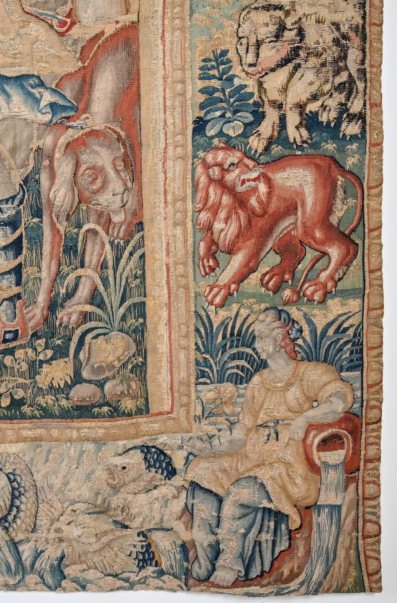 Belga Grande arazzo fiammingo del XVI-XVII secolo in vendita