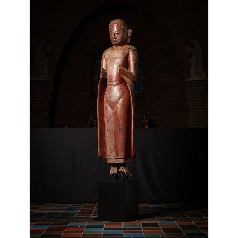 18th Century and Earlier Large 17th Century Wooden Burmese Monk Statue from Burma For Sale