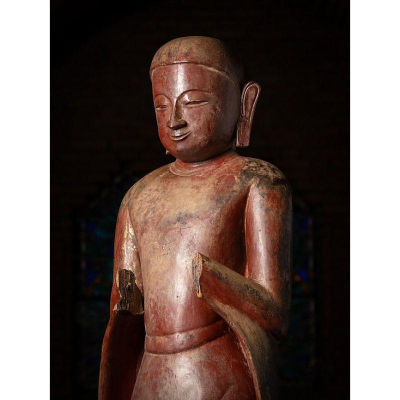 Bois Grande statue en bois de moine birman du XVIIe siècle provenant de Birmanie en vente