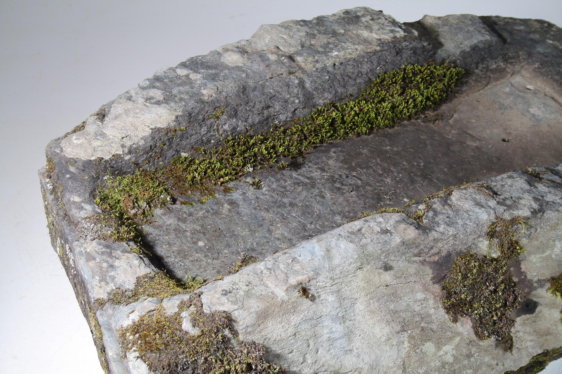 Welsh Large 17thCentury Stone Trough Garden Feature Weathered Moss Bonsai Carved Stone For Sale