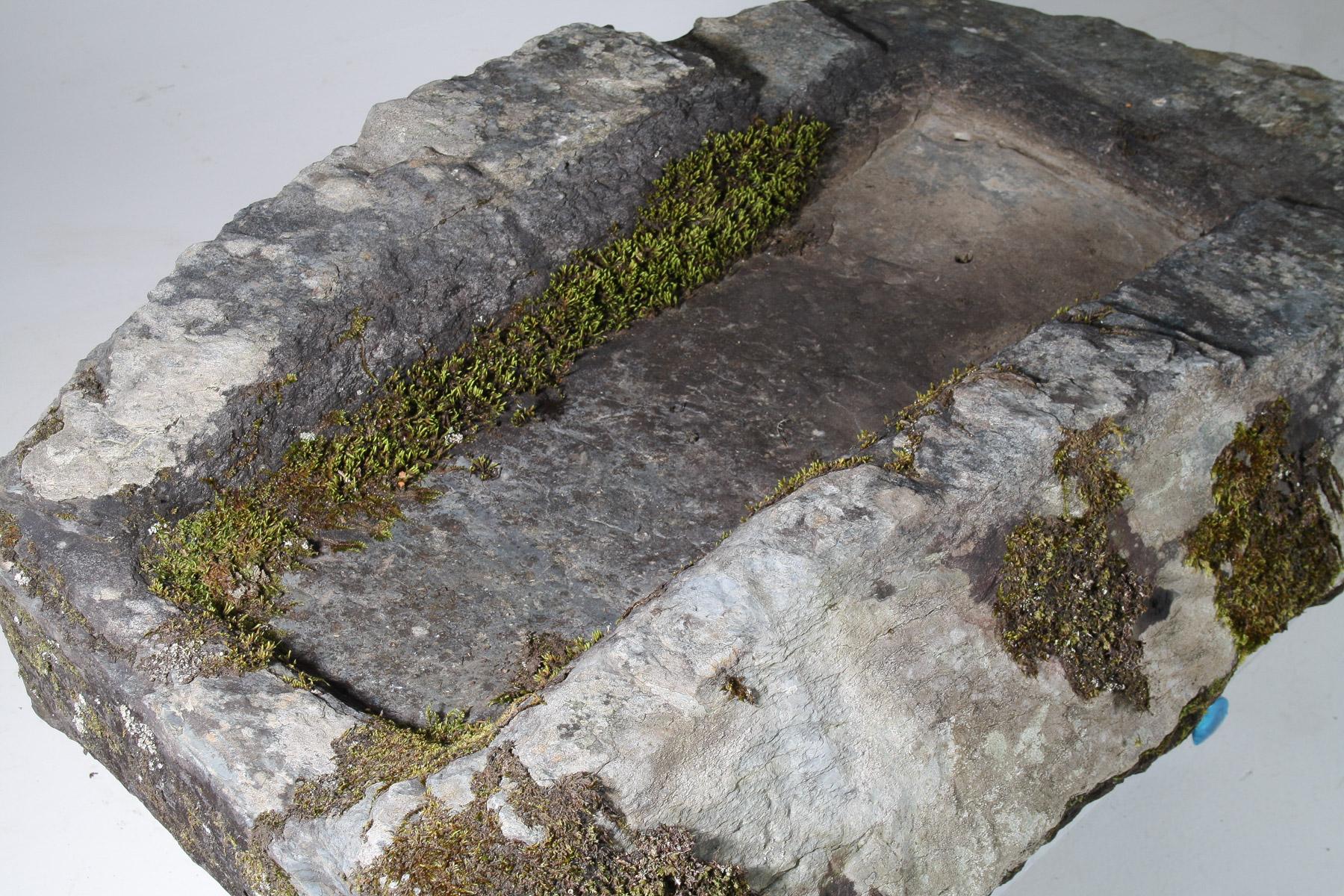 Hand-Carved Large 17thCentury Stone Trough Garden Feature Weathered Moss Bonsai Carved Stone For Sale