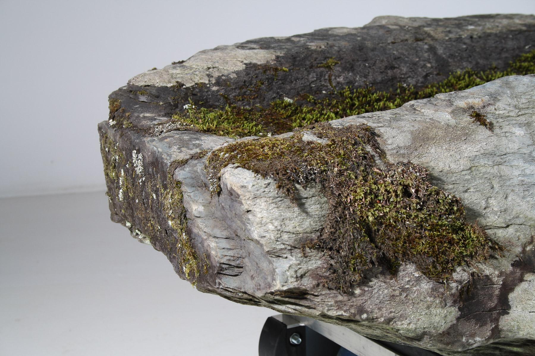Large 17thCentury Stone Trough Garden Feature Weathered Moss Bonsai Carved Stone In Good Condition For Sale In Llanbrynmair, GB