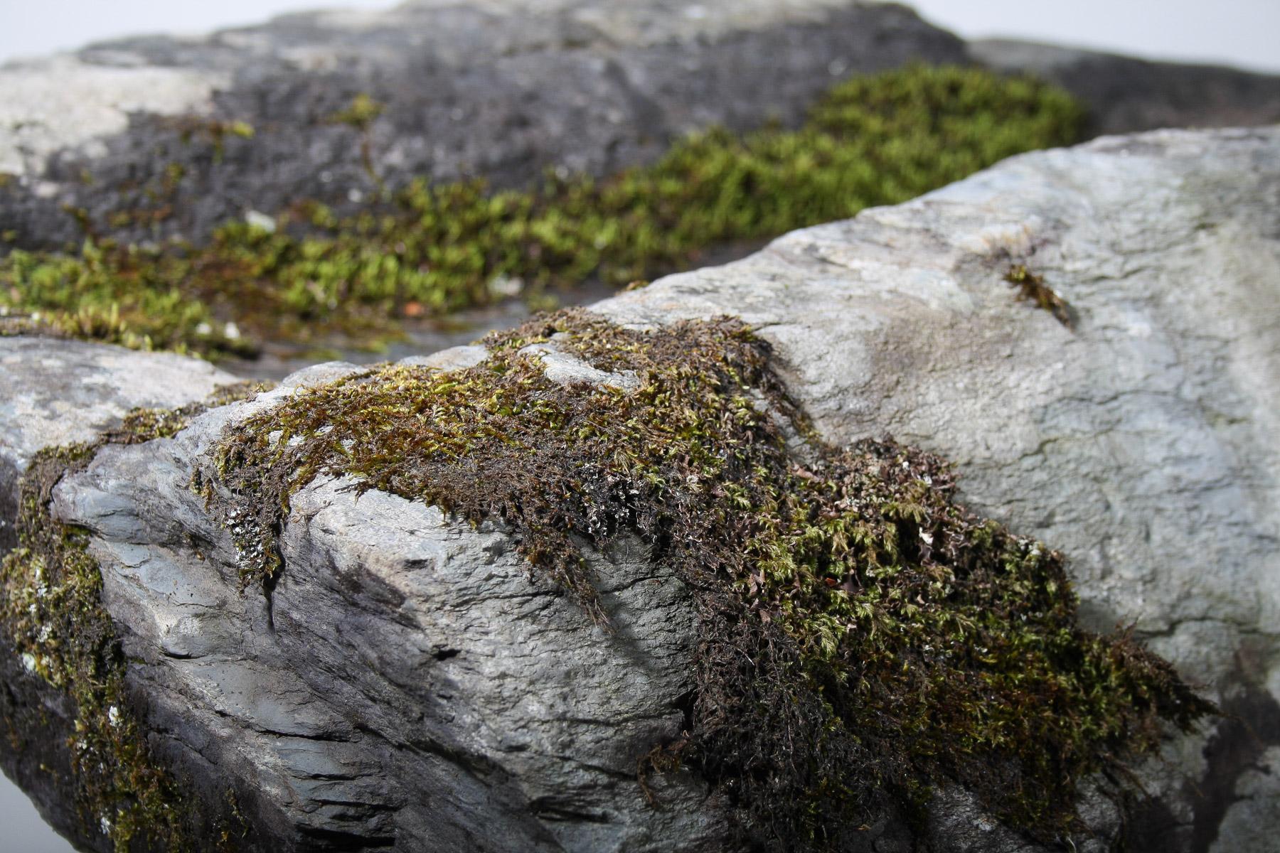 18th Century and Earlier Large 17thCentury Stone Trough Garden Feature Weathered Moss Bonsai Carved Stone For Sale