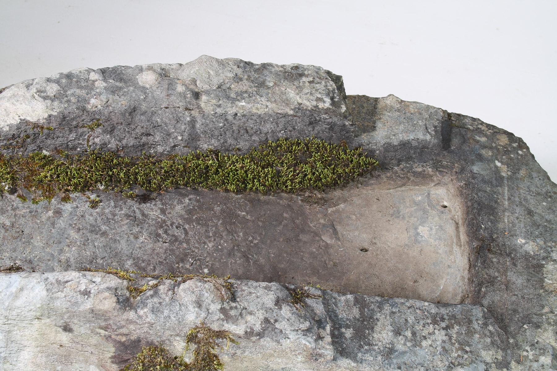Large 17thCentury Stone Trough Garden Feature Weathered Moss Bonsai Carved Stone For Sale 1