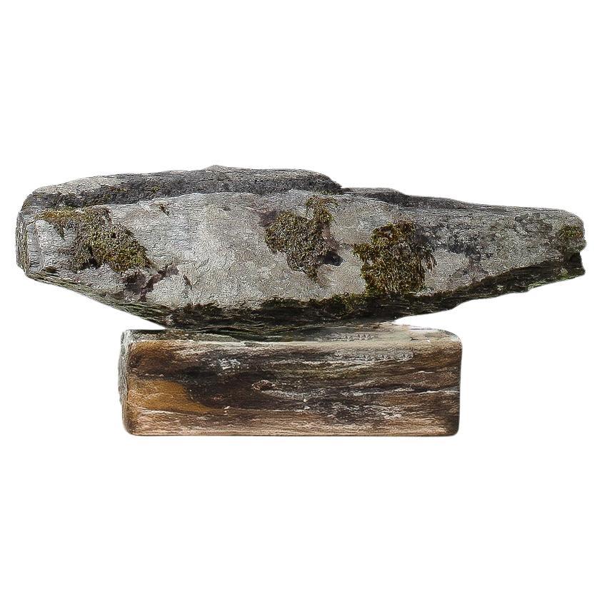 Gran cubeta de piedra del siglo XVII Elemento decorativo de jardín Bonsái de musgo envejecido Piedra tallada