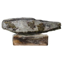 Gran cubeta de piedra del siglo XVII Elemento decorativo de jardín Bonsái de musgo envejecido Piedra tallada