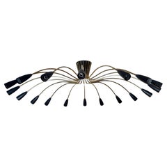 Large 18 Arms Brass & Black Sputnik Spider Chandelier, 1950s