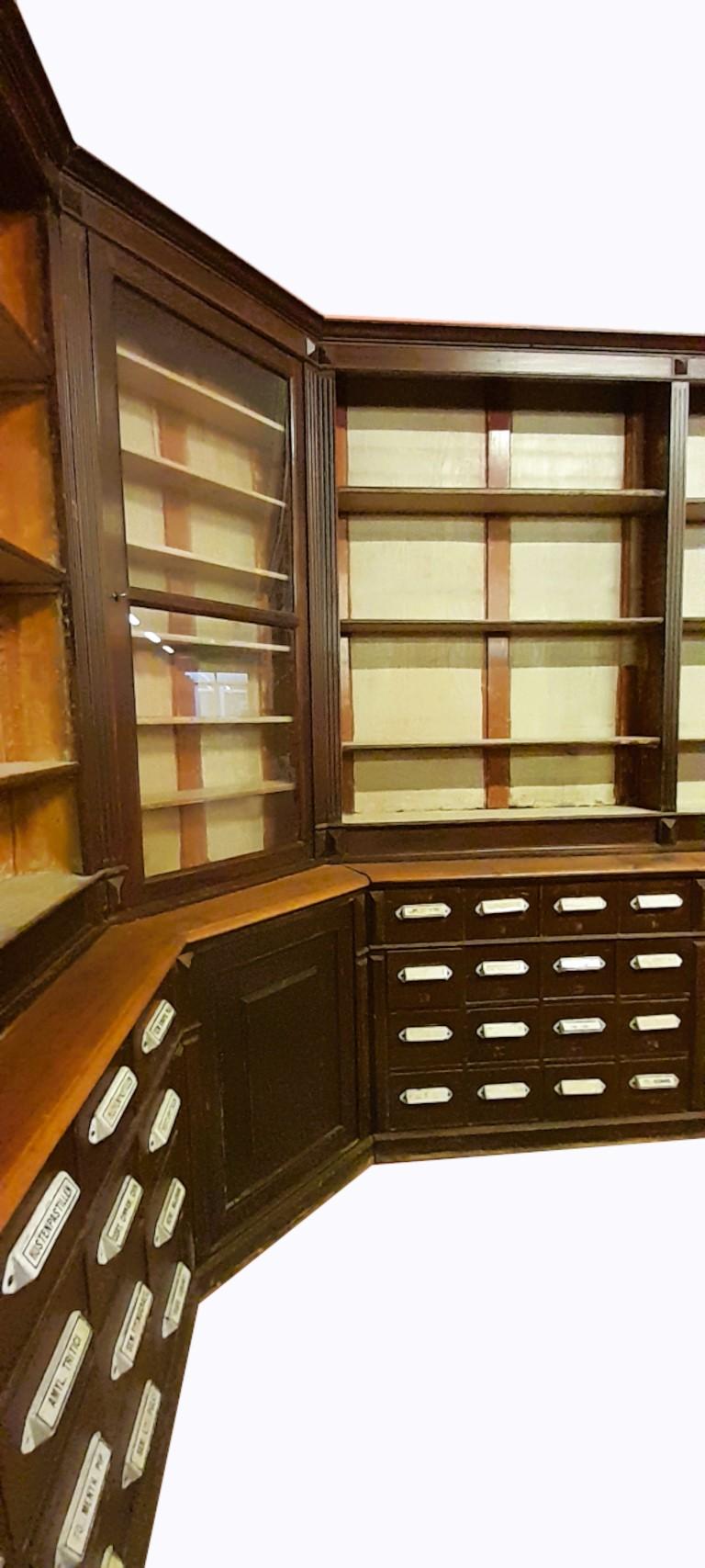 Walnut Large 1800s Herbal Pharmacy Cabinet For Sale