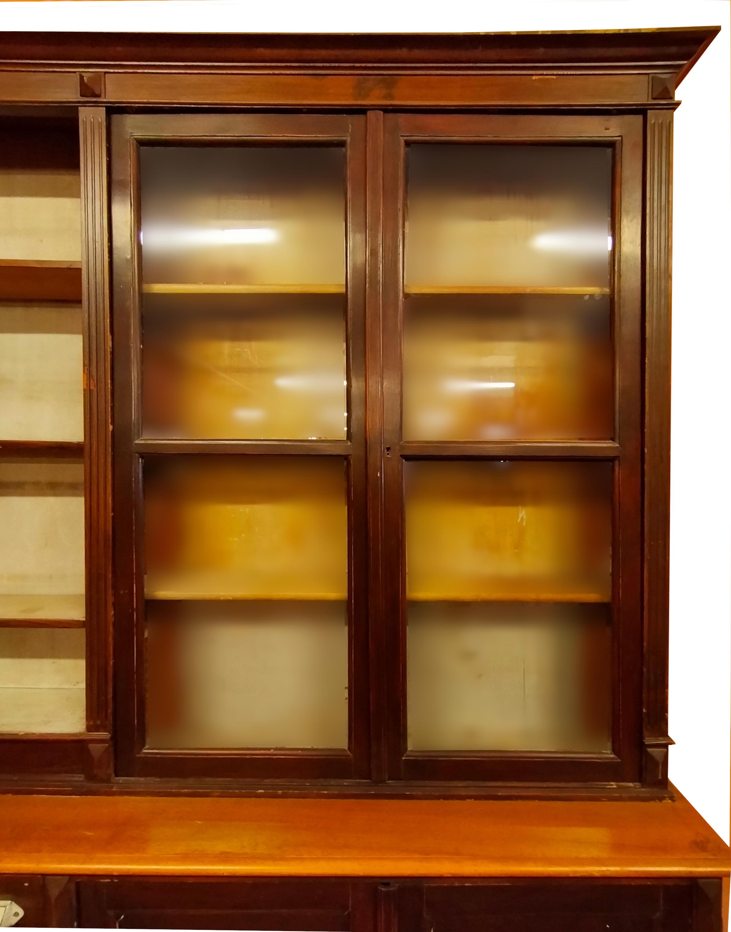 Luxembourgish Large 1800s Herbal Pharmacy Cabinet For Sale