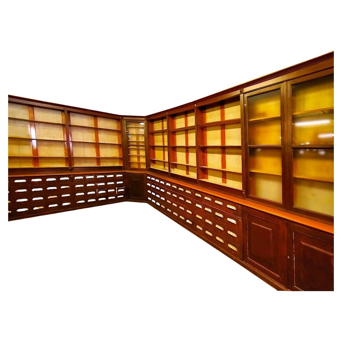 Large 1800s Herbal Pharmacy Cabinet For Sale