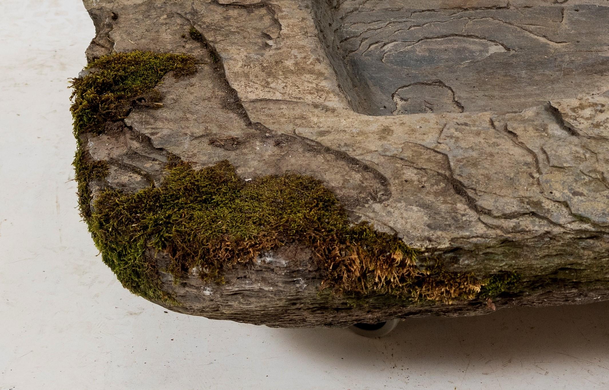 Welsh Large 18th C. Carved Sedimentary Stone Trough Garden Bonsai Planter Birdbath