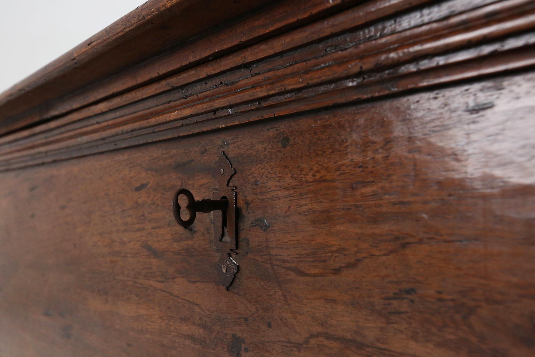 Large 18th Century carved oak chest linen trunk, France 11