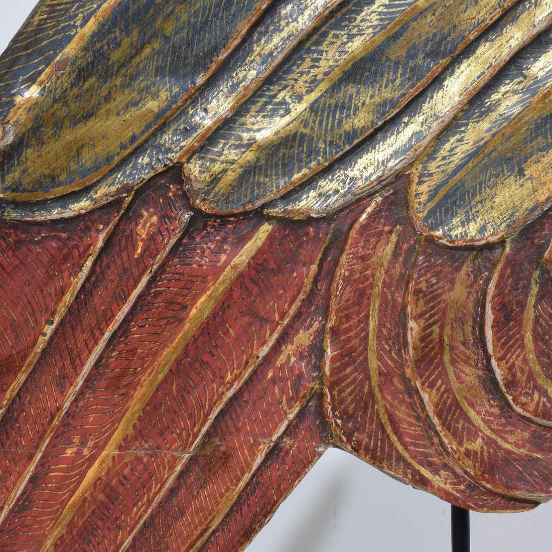 Gran ala de madera tallada italiana del siglo XVIII de un ángel barroco en venta 3