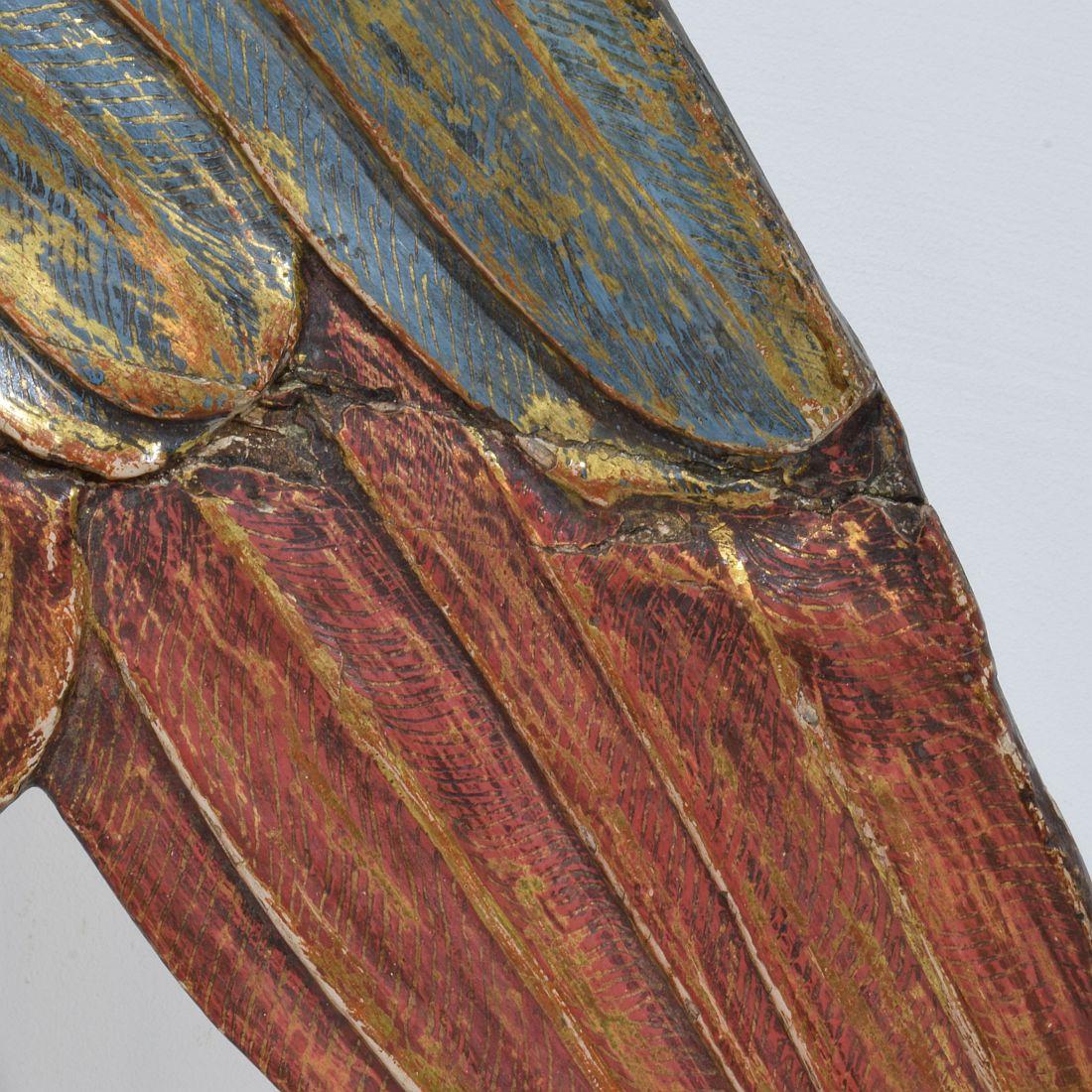 Großer italienischer geschnitzter Holzflügel eines Barockengels aus dem 18. im Angebot 6