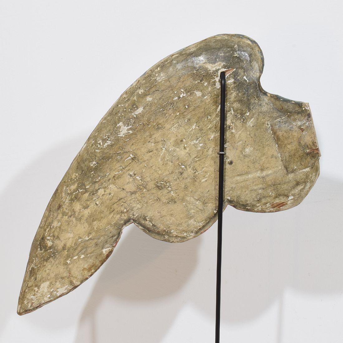 Gran ala de madera tallada italiana del siglo XVIII de un ángel barroco en venta 5