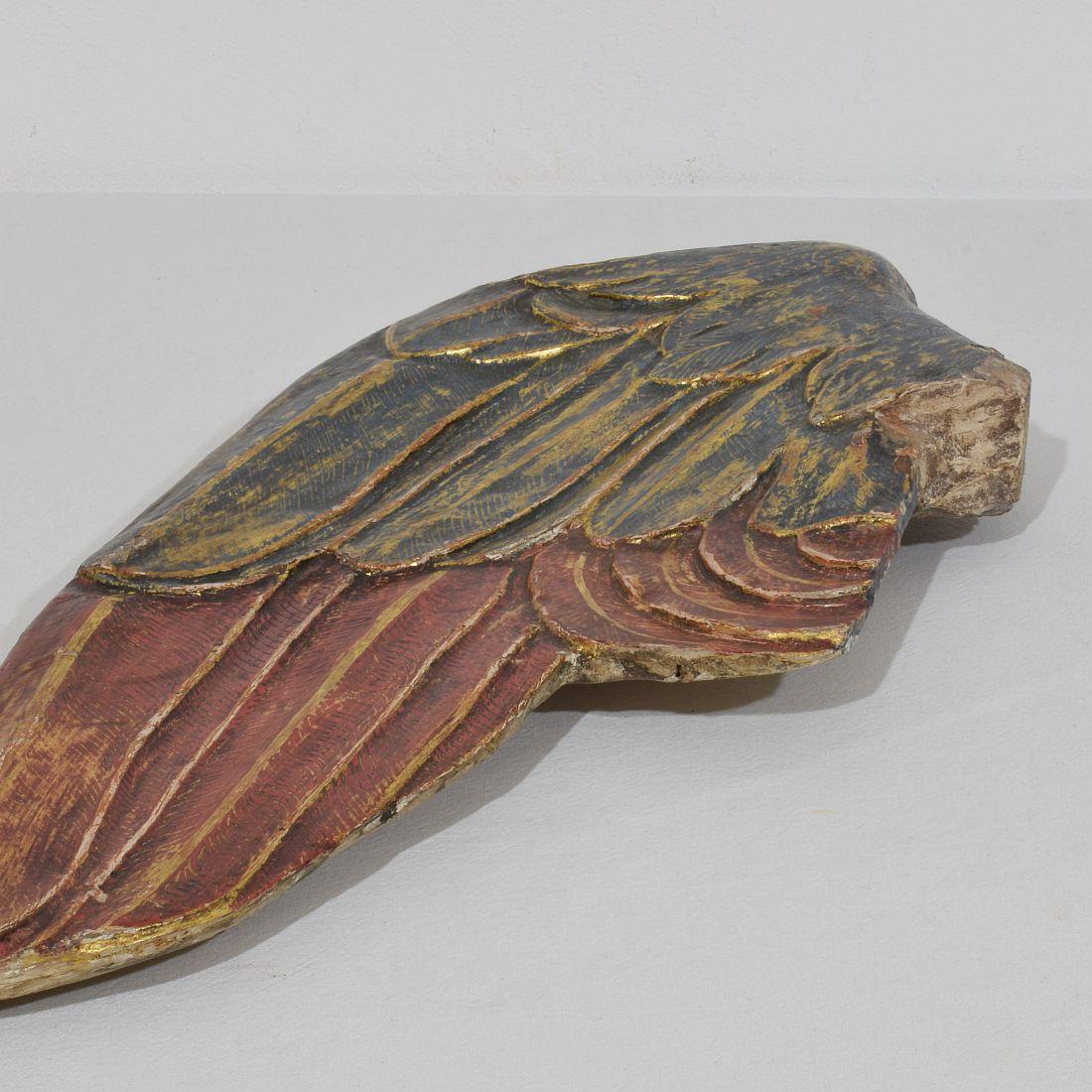 Gran ala de madera tallada italiana del siglo XVIII de un ángel barroco en venta 7