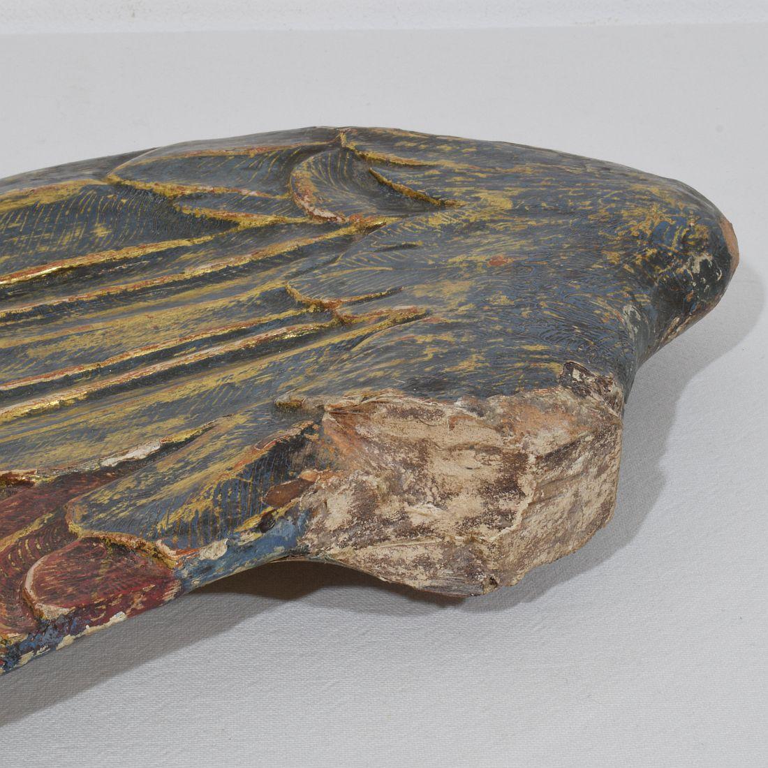 Gran ala de madera tallada italiana del siglo XVIII de un ángel barroco en venta 8