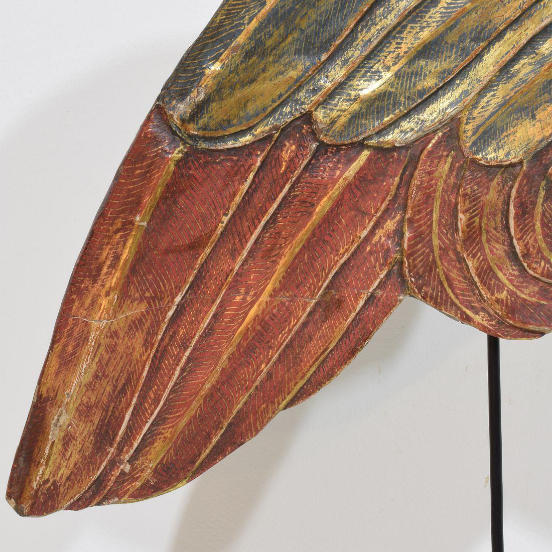 Gran ala de madera tallada italiana del siglo XVIII de un ángel barroco Madera en venta