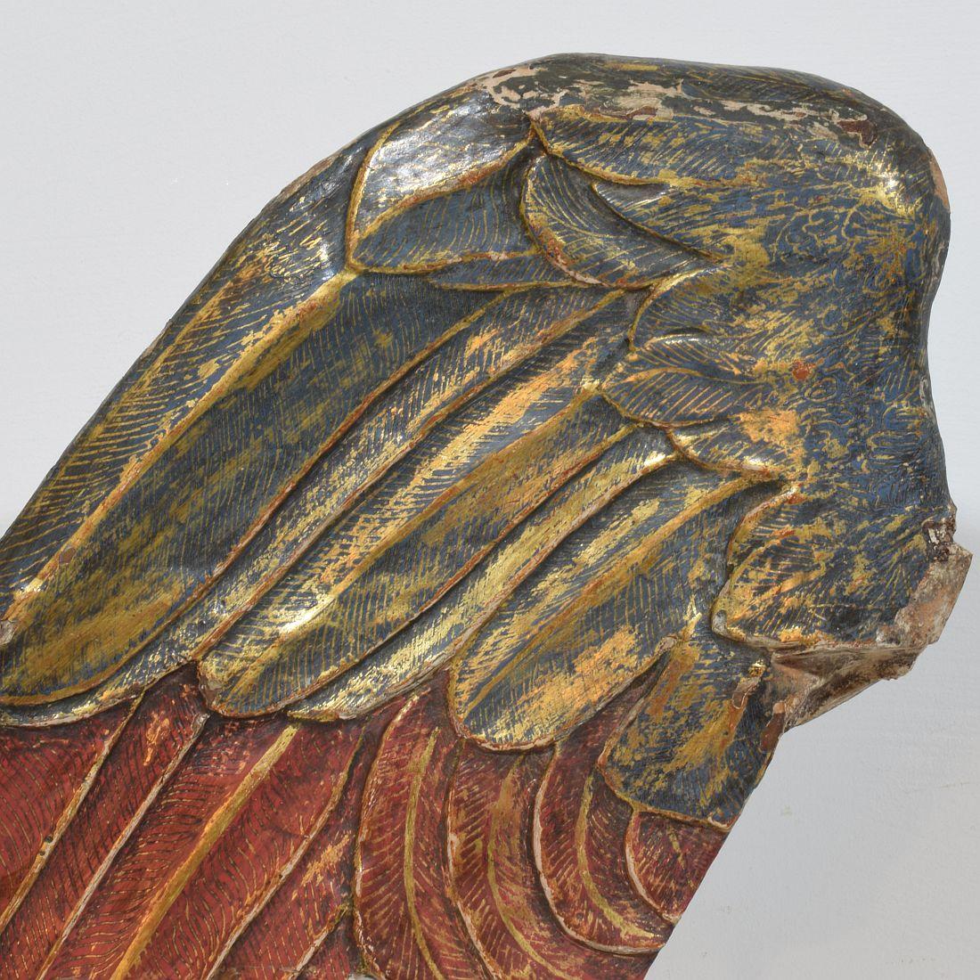 Gran ala de madera tallada italiana del siglo XVIII de un ángel barroco en venta 1