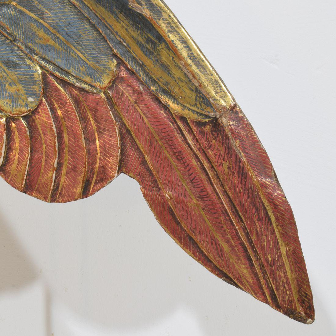 Gran ala de madera tallada italiana del siglo XVIII de un ángel barroco en venta 1