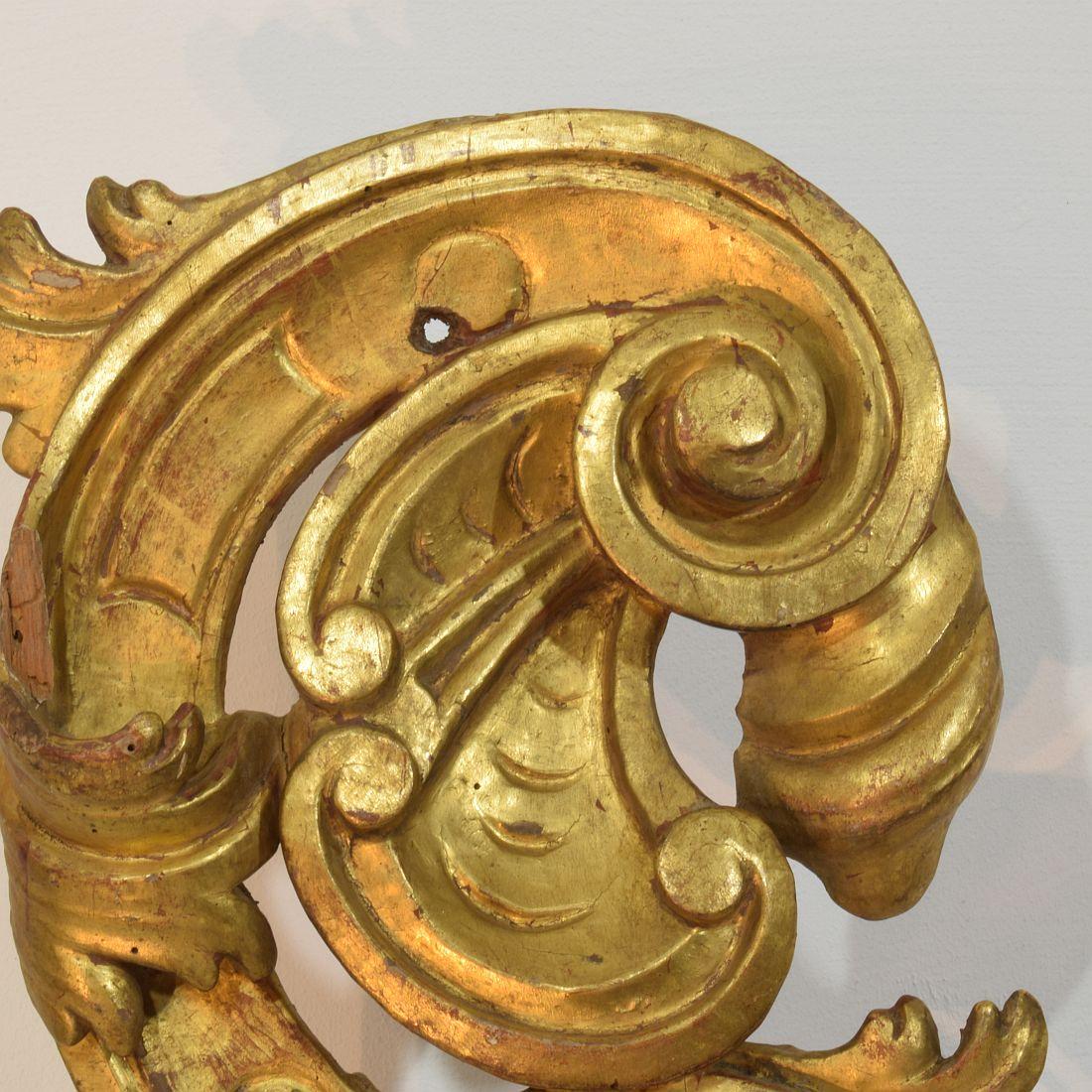 Large 18th Century Italian Hand Carved Giltwood Baroque Curl Ornament For Sale 7