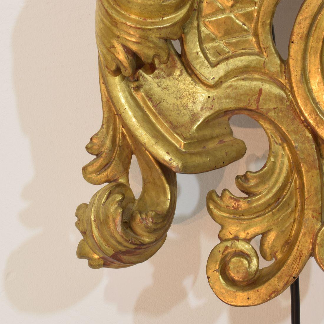 Große 18. Jahrhundert Italienisch Hand geschnitzt Giltwood Barock Curl Ornament im Angebot 7