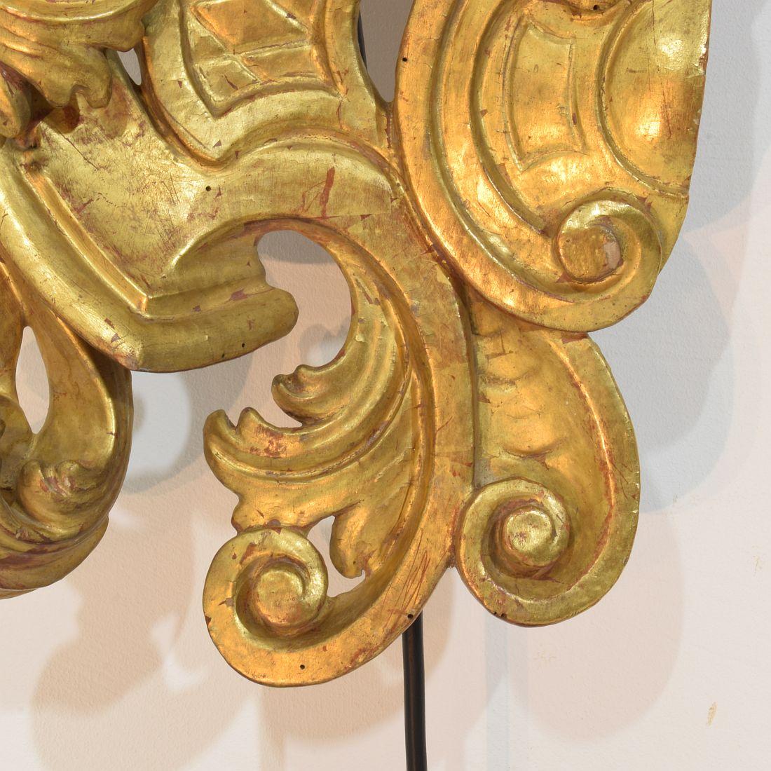 Große 18. Jahrhundert Italienisch Hand geschnitzt Giltwood Barock Curl Ornament im Angebot 8