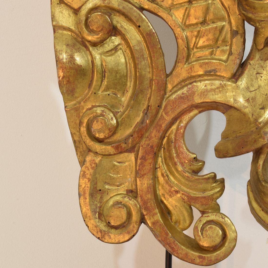 Large 18th Century Italian Hand Carved Giltwood Baroque Curl Ornament For Sale 11